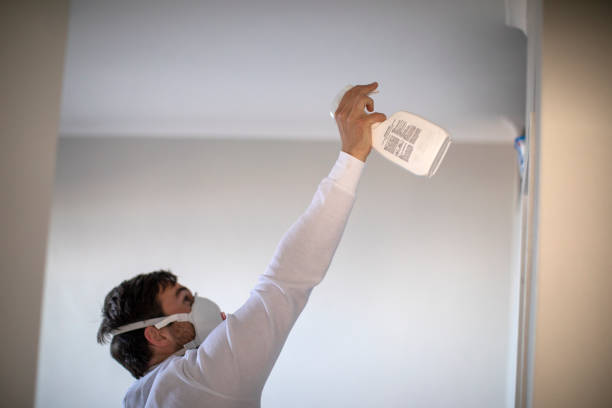 Best Home Mold Removal  in Shiremanstown, PA